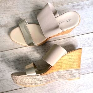 Comtesa | Metallic Nude Wedges